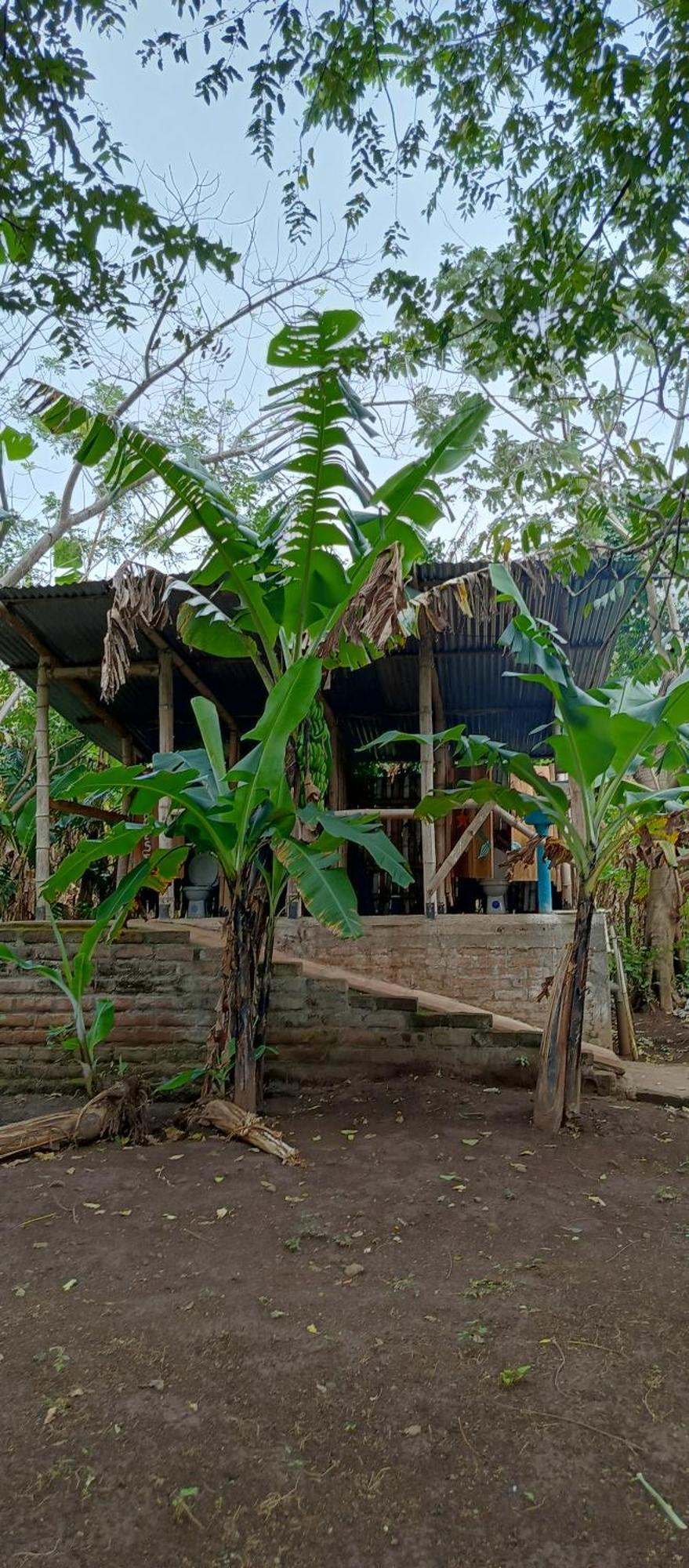 La Sirenita - Ometepe Hotel Altagracia Eksteriør billede